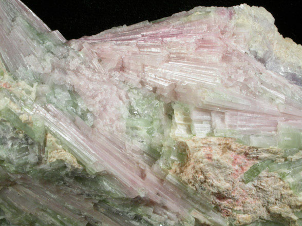 Elbaite Tourmaline from Mount Marie Quarry, Paris, Oxford County, Maine