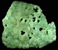 Prehnite with casts after Calcite from Prospect Park Quarry, Prospect Park, Passaic County, New Jersey