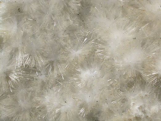 Natrolite from Robertson Quarry, Mason County, Washington