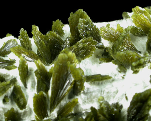 Epidote in Actinolite var. Byssolite from Cedar Mountain Stone Quarry, Mitchell, Culpeper County, Virginia