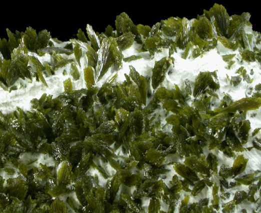 Epidote in Actinolite var. Byssolite from Cedar Mountain Stone Quarry, Mitchell, Culpeper County, Virginia