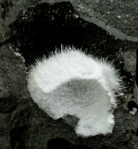 Natrolite-Mesolite from Millington Quarry, Bernards Township, Somerset County, New Jersey