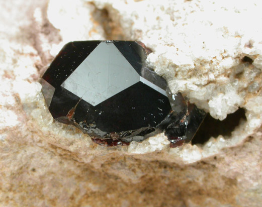 Almandine Garnet in Rhyolite from Garnet Hill, 7.5 km WNW of Ely, White Pine County, Nevada