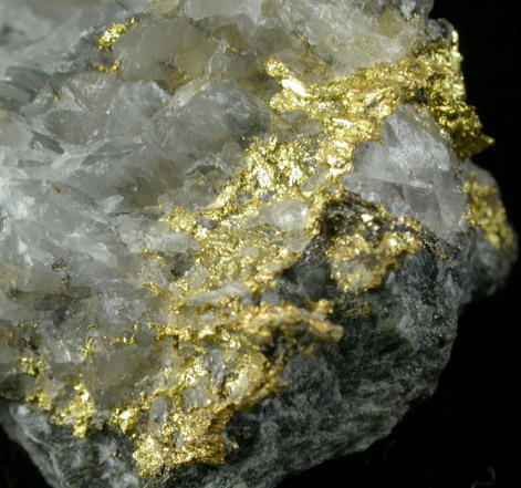 Gold in Quartz from Timmins Gold Mine, Cochrane District, Ontario, Canada