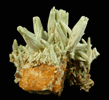 Pyromorphite from Midnight Mine, Coeur d'Alene District, Shoshone County, Idaho