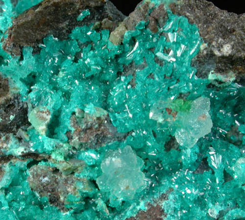 Dioptase from Harquahala Mine, La Paz County, Arizona