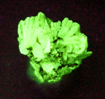 Uranocircite from Lavra Sao Pedro, Malacacheta District, Minas Gerais, Brazil