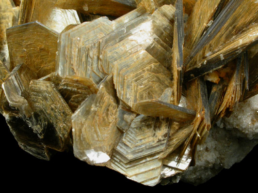 Muscovite on Albite from Big Quarry, Alstead District, Cheshire County, New Hampshire