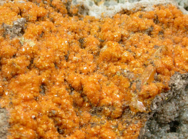 Mimetite and Willemite from Tiger District, Pinal County, Arizona