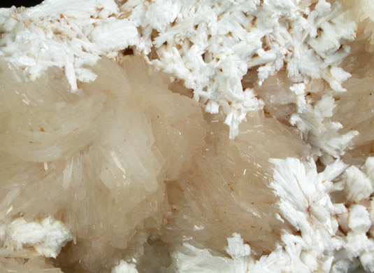 Stilbite-Ca and Laumontite from Harbourville, Nova Scotia, Canada