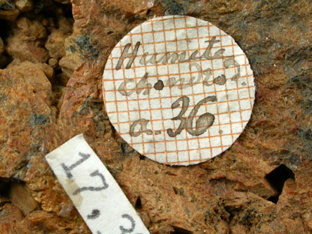 Chondrodite with Spinel from Sparta, Sussex County, New Jersey