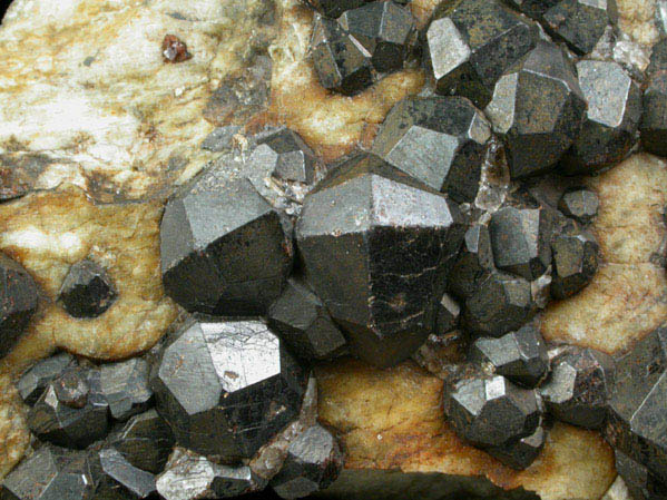 Almandine Garnet on Albite from Russell, Hampden County, Massachusetts