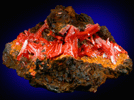 Crocoite with Gibbsite from Red Lead Mine, Dundas, Tasmania, Australia