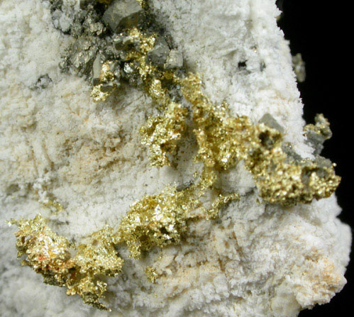 Gold in Quartz with Pyrite from Calaveras County, California