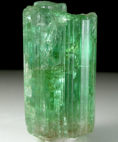 Elbaite Tourmaline from Dunton Quarry, Plumbago Mountain, Hall's Ridge, Newry, Oxford County, Maine