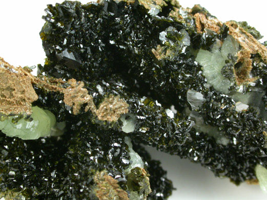 Babingtonite with Prehnite from Lane's Quarry, Westfield, Hampden County, Massachusetts