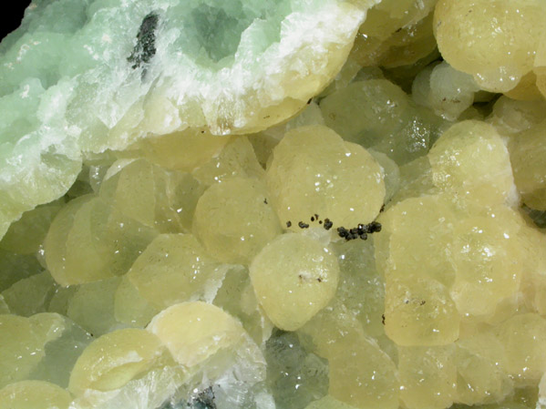 Prehnite with Goethite from O and G Industries Southbury Quarry, Southbury, New Haven County, Connecticut