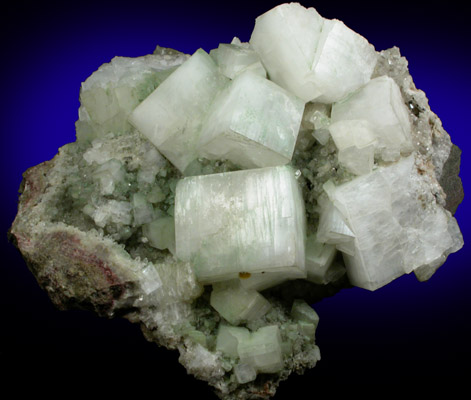 Apophyllite from New Street Quarry, Paterson, Passaic County, New Jersey