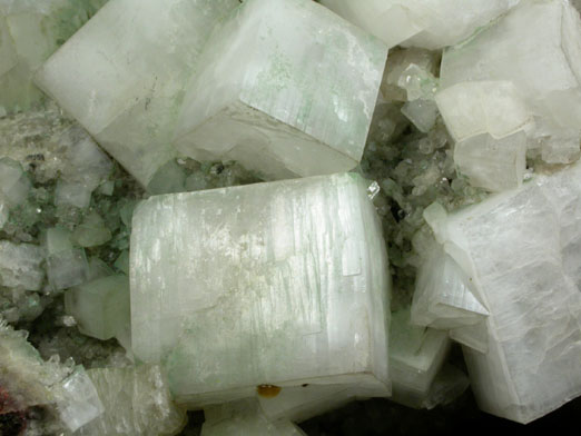 Apophyllite from New Street Quarry, Paterson, Passaic County, New Jersey