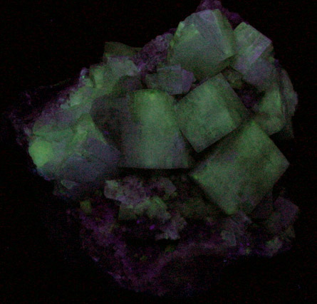Apophyllite from New Street Quarry, Paterson, Passaic County, New Jersey