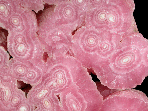 Rhodochrosite from Capillitas Mine, Catamarca, Argentina