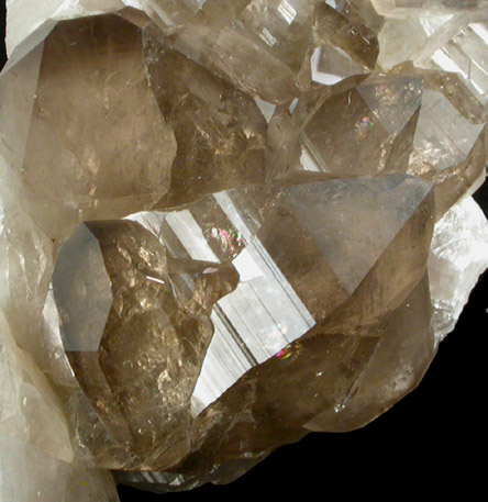 Quartz var. Smoky from Kanton Uri, Switzerland