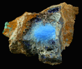 Cyanotrichite with Azurite from Grandview Mine, Coconino County, Arizona