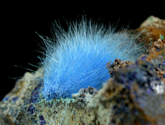 Cyanotrichite with Azurite from Grandview Mine, Coconino County, Arizona