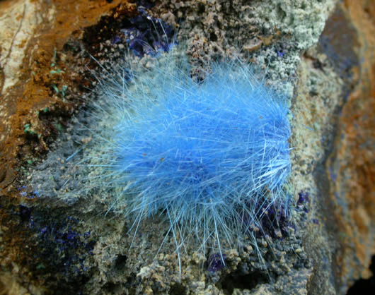 Cyanotrichite with Azurite from Grandview Mine, Coconino County, Arizona