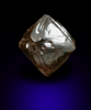 Diamond (2.45 carat brown octahedral crystal) from Diavik Mine, East Island, Lac de Gras, Northwest Territories, Canada