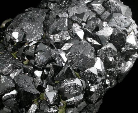 Magnetite with Epidote from Altaiskii Krai, Sibirsky Federalny Okrug, Russia