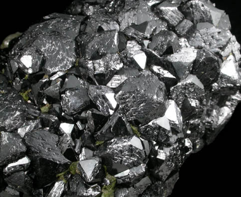 Magnetite with Epidote from Altaiskii Krai, Sibirsky Federalny Okrug, Russia