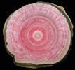 Rhodochrosite from Capillitas Mine, Catamarca, Argentina