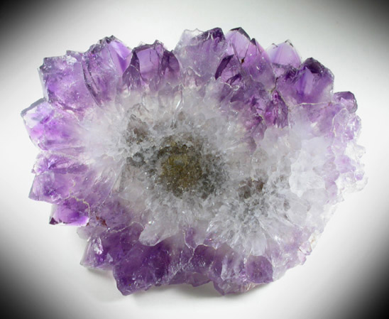 Quartz var. Amethyst (polished section of stalactite) from Catalan Agate-Amethyst District, Southern Paran Basalt Basin, Artigas, Uruguay