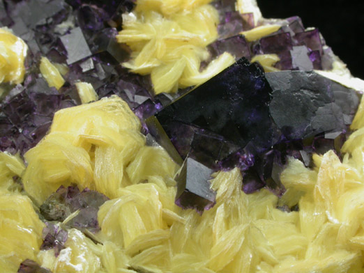 Fluorite with Muscovite from Erongo Mountain, Usakos and Omaruru Districts, Namibia