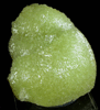 Adamite from Mina Ojuela, Mapimi, Durango, Mexico