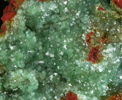 Adamite var. Cuprian Adamite from Mina Ojuela, Mapimi, Durango, Mexico