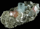 Beryl var. Aquamarine with Fluorapatite on Muscovite from Nagar, Hunza Valley, Gilgit District, Gilgit-Baltistan, Pakistan