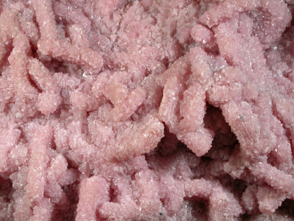 Rhodochrosite pseudomorphs after Barite from Santa Rita Mine, Morococha District, Yauli Province, Lima Department, Peru