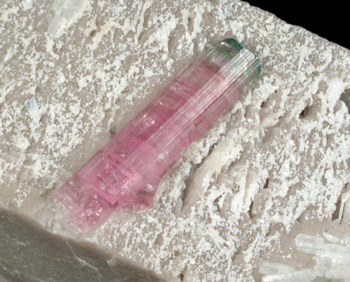 Elbaite var. Rubellite Tourmaline on Albite from Mount Mica Quarry, Paris, Oxford County, Maine