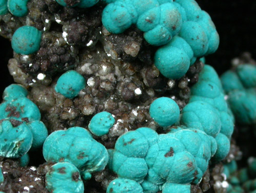 Rosasite from Silver Bill Mine, Courtland-Gleeson District, Cochise County, Arizona