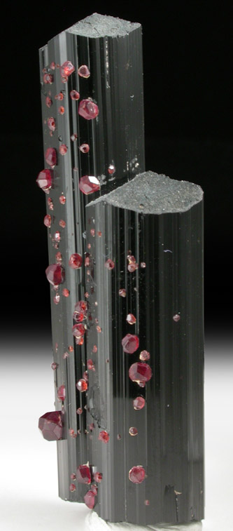 Spessartine Garnet on Schorl Tourmaline from Gilgit District, Gilgit-Baltistan, Pakistan