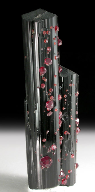 Spessartine Garnet on Schorl Tourmaline from Gilgit District, Gilgit-Baltistan, Pakistan