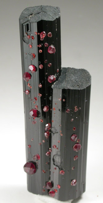 Spessartine Garnet on Schorl Tourmaline from Gilgit District, Gilgit-Baltistan, Pakistan