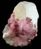 Elbaite var. Rubellite Tourmaline on Microcline from Pyi-Gyi-Taung Mountain, near Let-Pan-Hla, Mandalay, Myanmar (Burma)