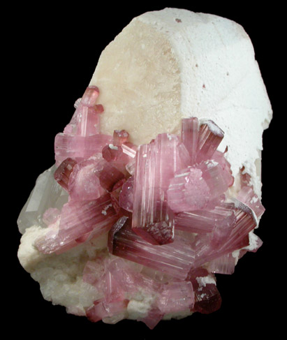 Elbaite var. Rubellite Tourmaline on Microcline from Pyi-Gyi-Taung Mountain, near Let-Pan-Hla, Mandalay, Myanmar (Burma)