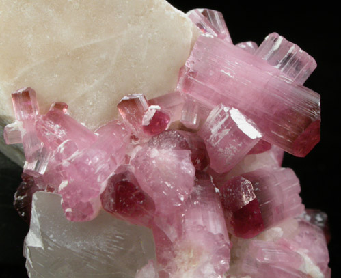 Elbaite var. Rubellite Tourmaline on Microcline from Pyi-Gyi-Taung Mountain, near Let-Pan-Hla, Mandalay, Myanmar (Burma)