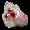 Elbaite var. Rubellite Tourmaline with Quartz from Pyi-Gyi-Taung Mountain, near Let-Pan-Hla, Mandalay, Myanmar (Burma)