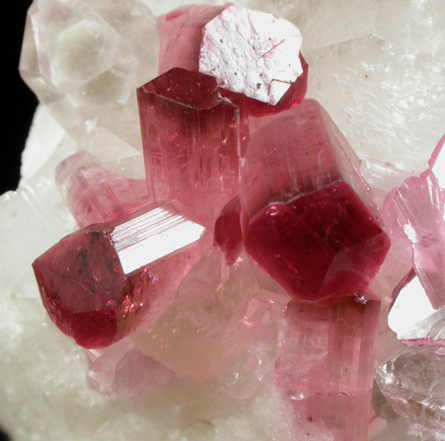 Elbaite var. Rubellite Tourmaline with Quartz from Pyi-Gyi-Taung Mountain, near Let-Pan-Hla, Mandalay, Myanmar (Burma)