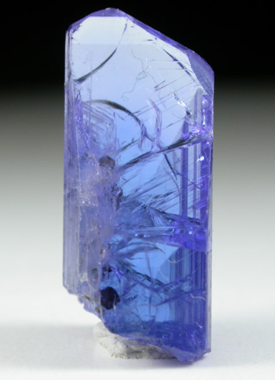 Zoisite var. Tanzanite from Merelani Hills, western slope of Lelatama Mountains, Arusha Region, Tanzania (Type Locality for Tanzanite)